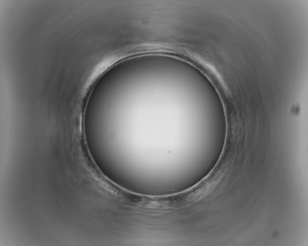 X0000097641365200803142037