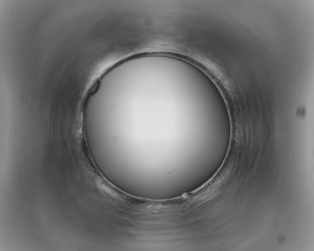 X0000097641366200803142037