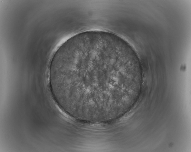 X0000097641367200803142037