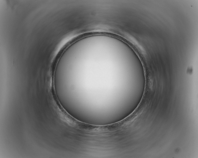 X0000097641368200803142037