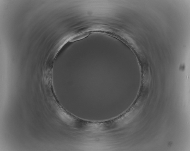 X0000097641369200803142037