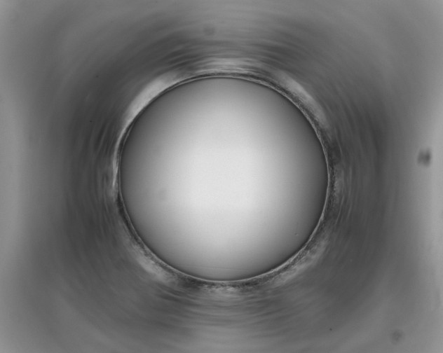 X0000097641370200803142037