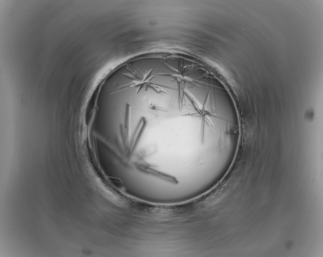 X0000097641371200803142037