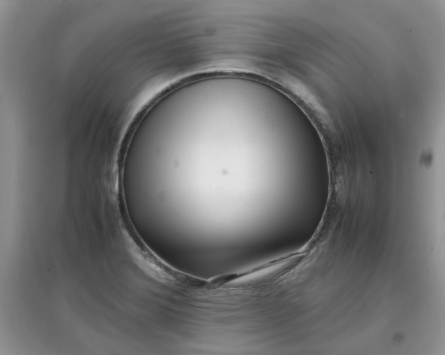 X0000097641372200803142037