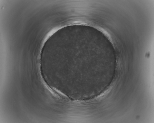 X0000097641373200803142037