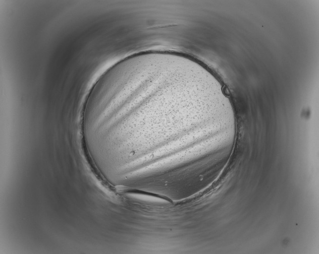 X0000097641375200803142037