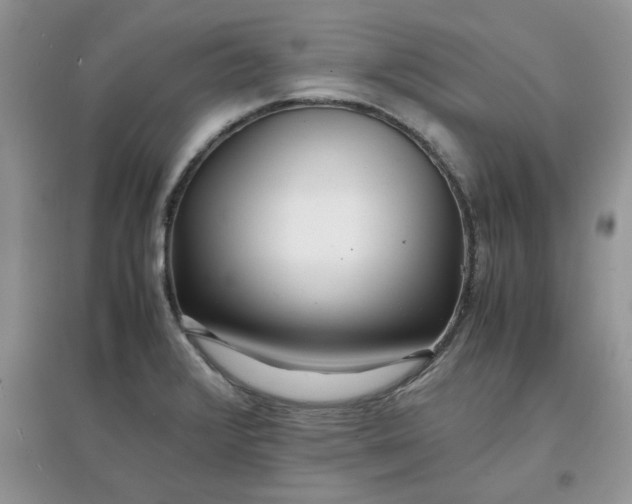 X0000097641376200803142037