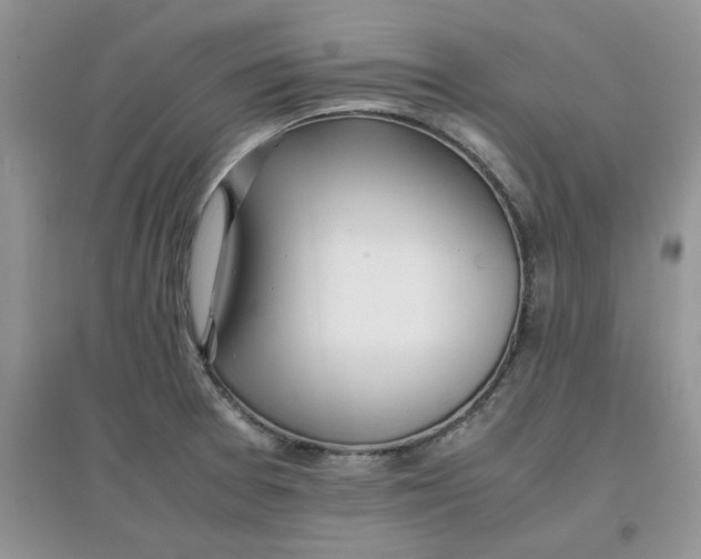 X0000097641377200803142037