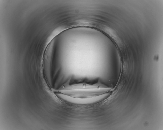 X0000097641378200803142037