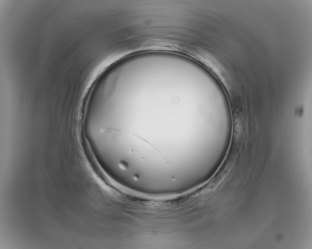 X0000097641379200803142037