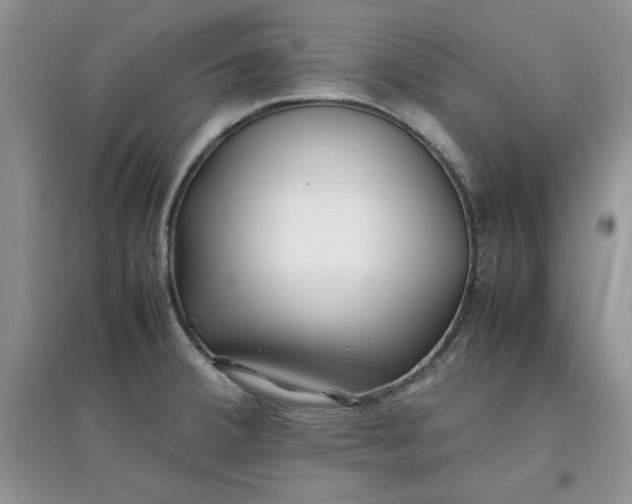 X0000097641380200803142037