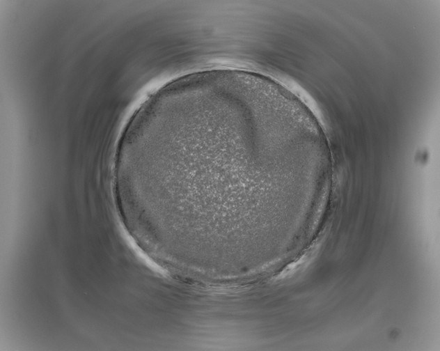 X0000097641381200803142037