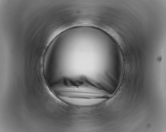 X0000097641382200803142037