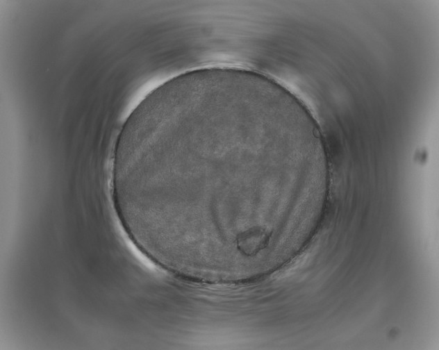 X0000097641383200803142037