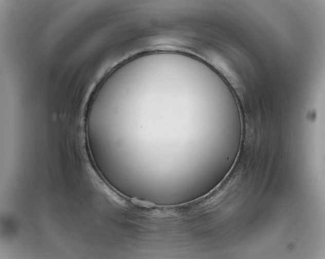 X0000097641384200803142037