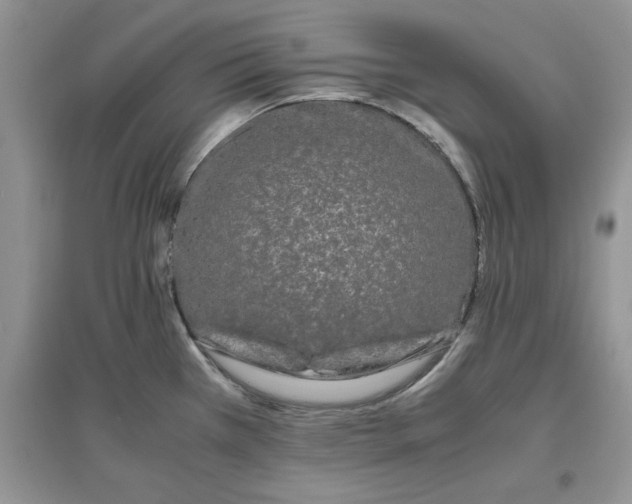 X0000097641385200803142037