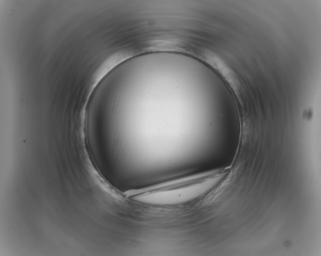 X0000097641386200803142037