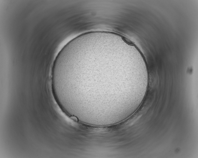 X0000097641387200803142037