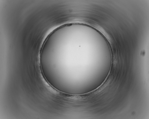 X0000097641388200803142037