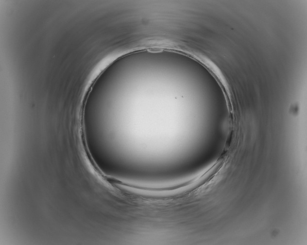 X0000097641389200803142037