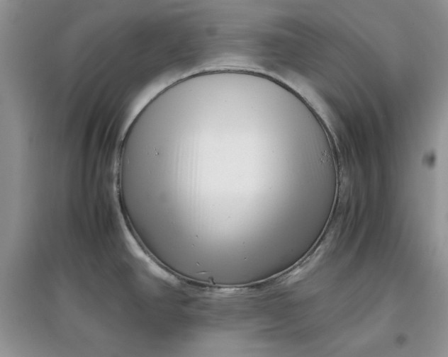 X0000097641390200803142037