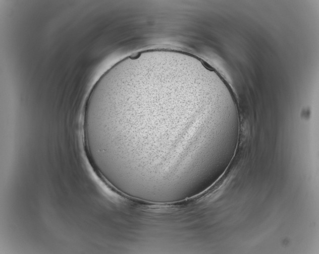 X0000097641391200803142037