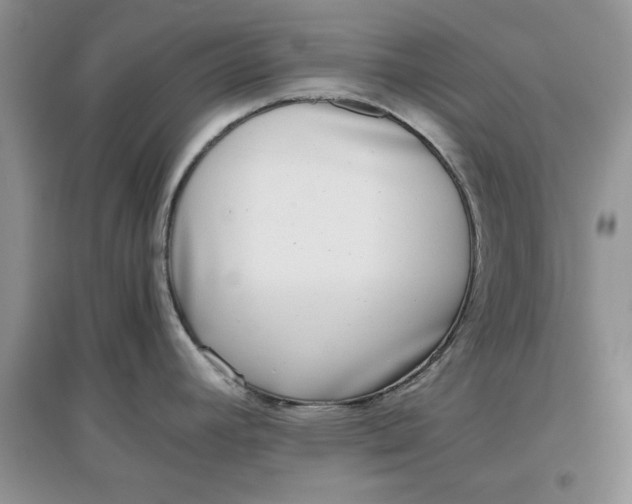 X0000097641392200803142037