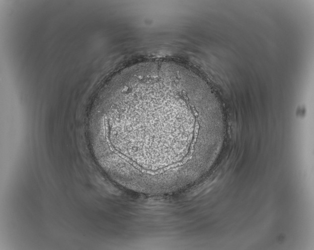 X0000097641393200803142036