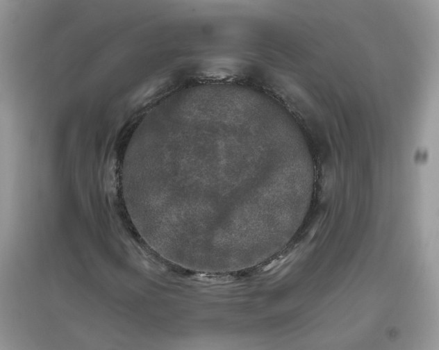 X0000097641394200803142036