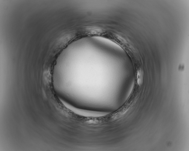 X0000097641395200803142036