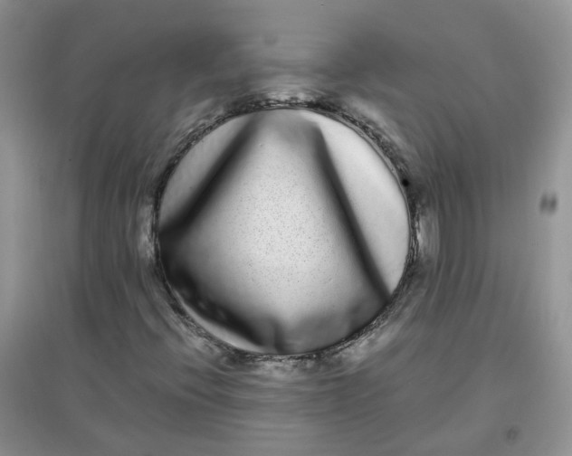 X0000097641396200803142036