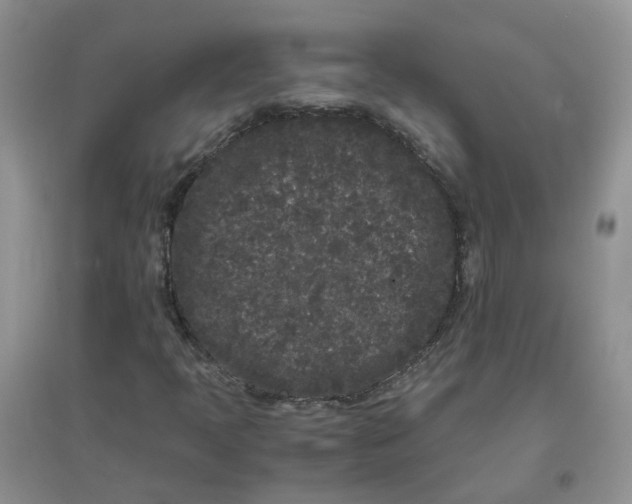 X0000097641397200803142036