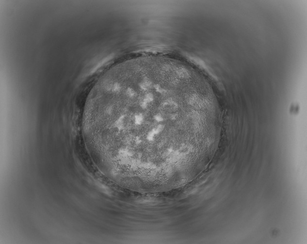 X0000097641399200803142036