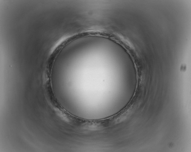 X0000097641400200803142036