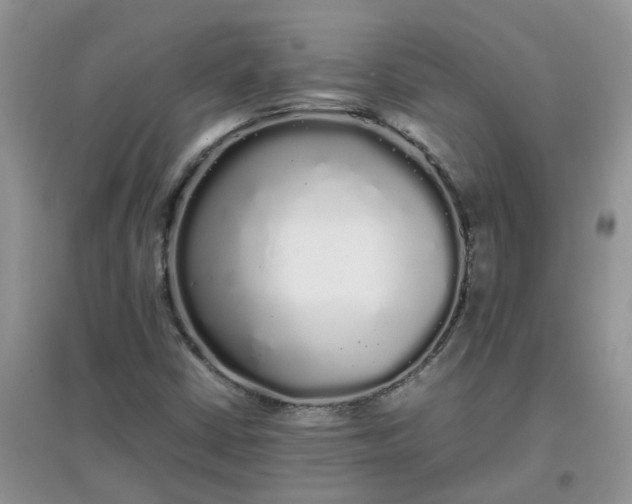 X0000097641402200803142036