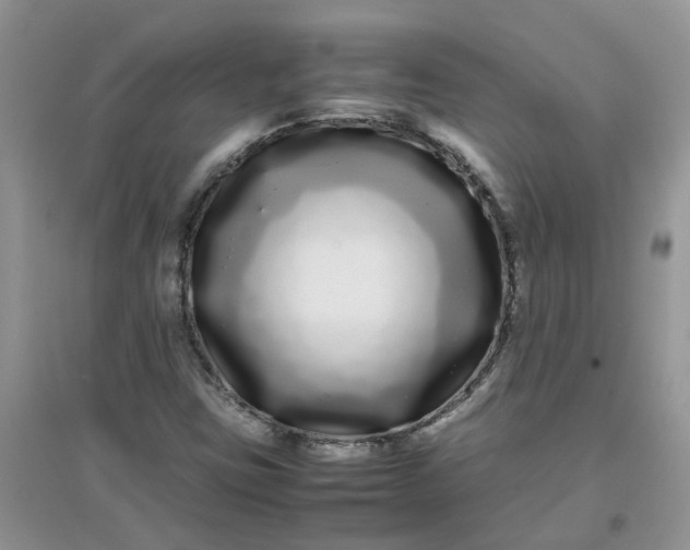 X0000097641403200803142036