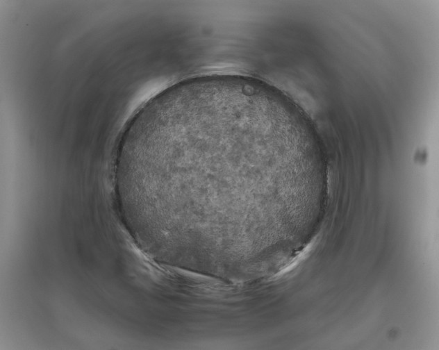 X0000097641405200803142036