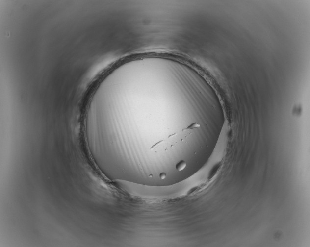 X0000097641406200803142036