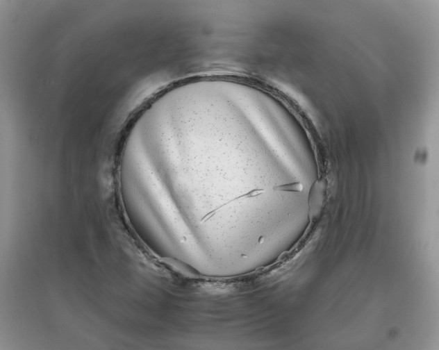 X0000097641407200803142036