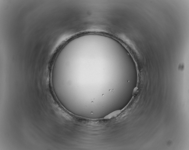 X0000097641408200803142036