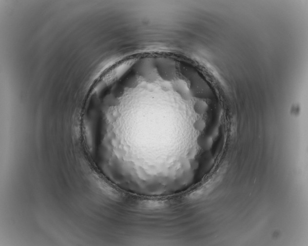 X0000097641409200803142036