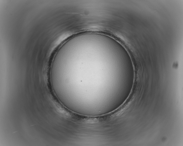 X0000097641410200803142036