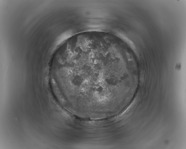 X0000097641411200803142036