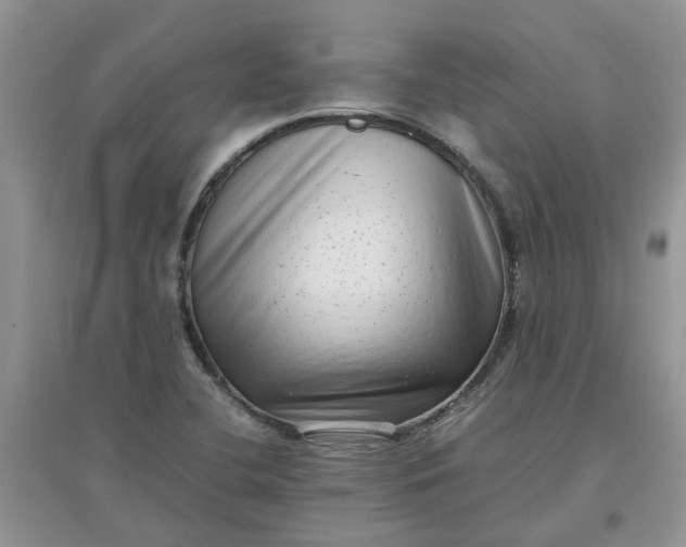 X0000097641412200803142036