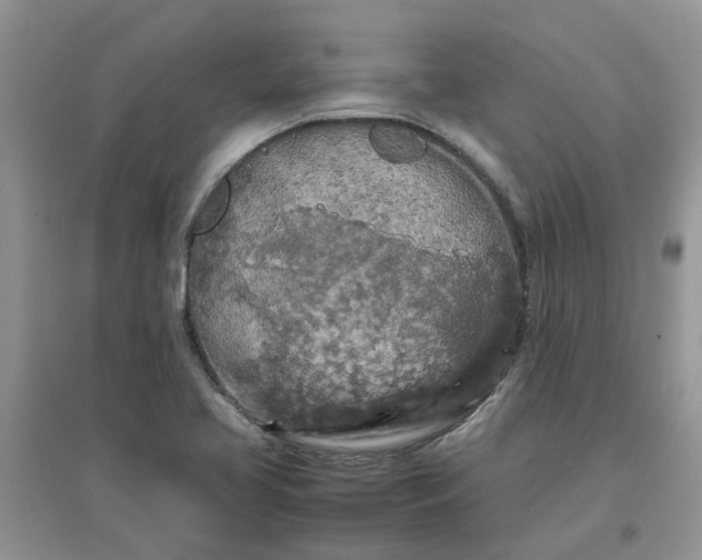 X0000097641413200803142036