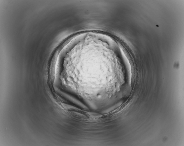 X0000097641415200803142036