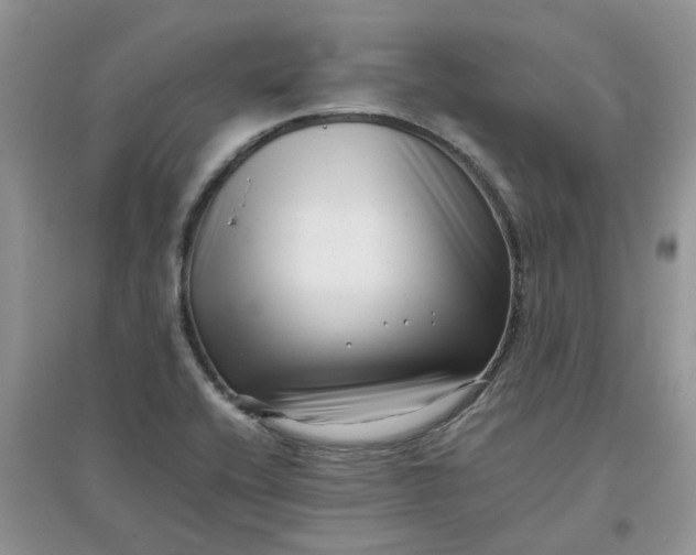 X0000097641416200803142036