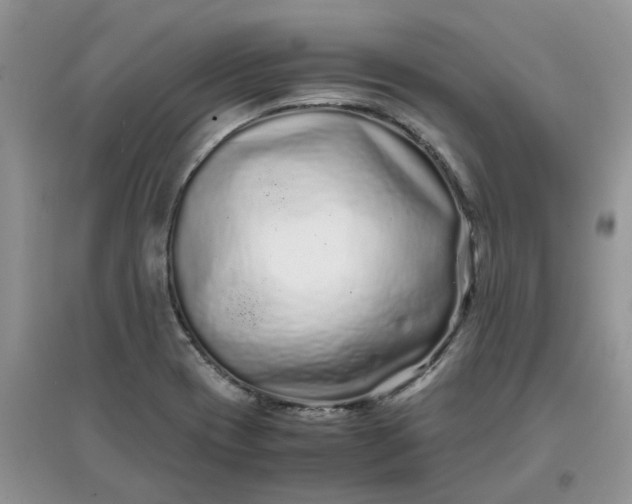 X0000097641417200803142036