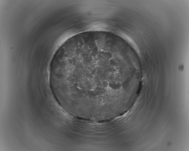 X0000097641419200803142036