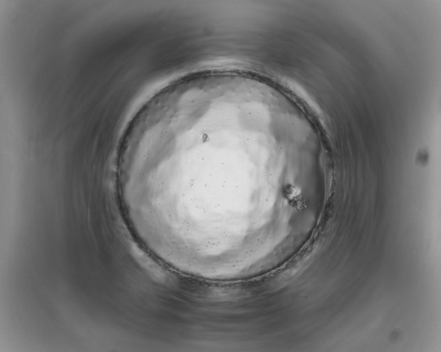 X0000097641421200803142036